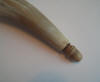 Powder horn tip